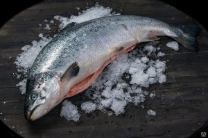 Где купить охлажденный лосось онлайн в Санкт-Петербурге?  